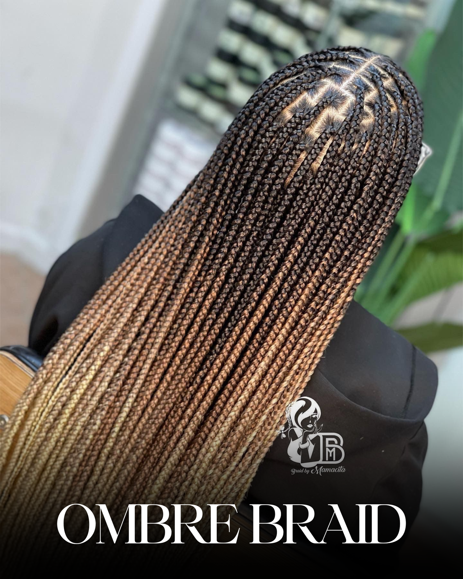OMBRE BRAID