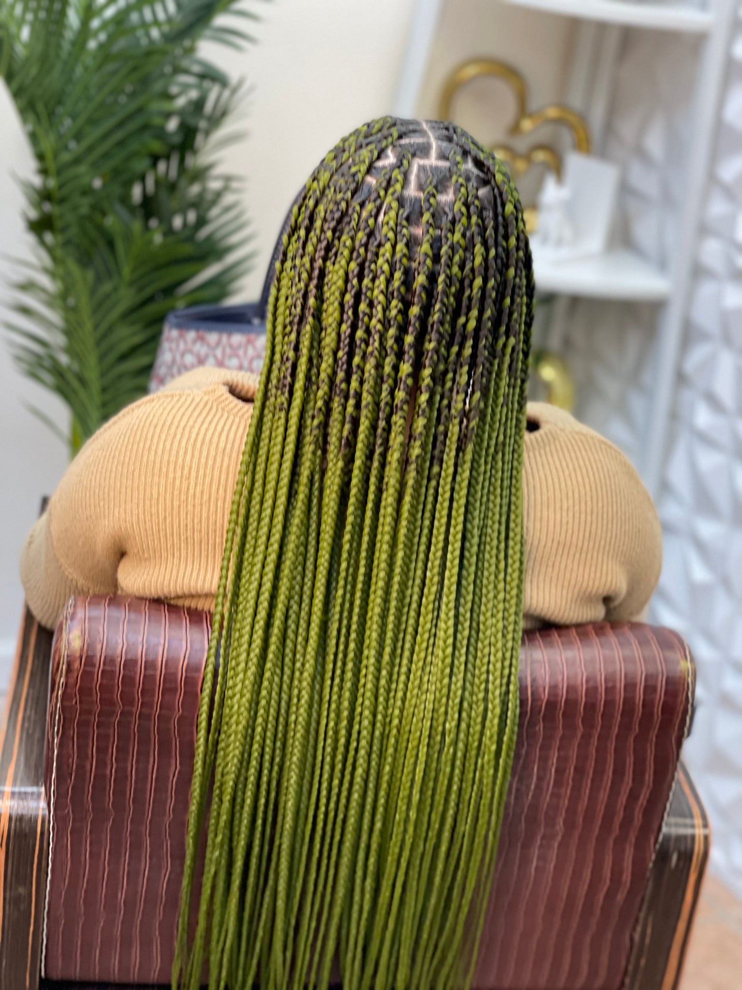 Olive (10 packs deal)